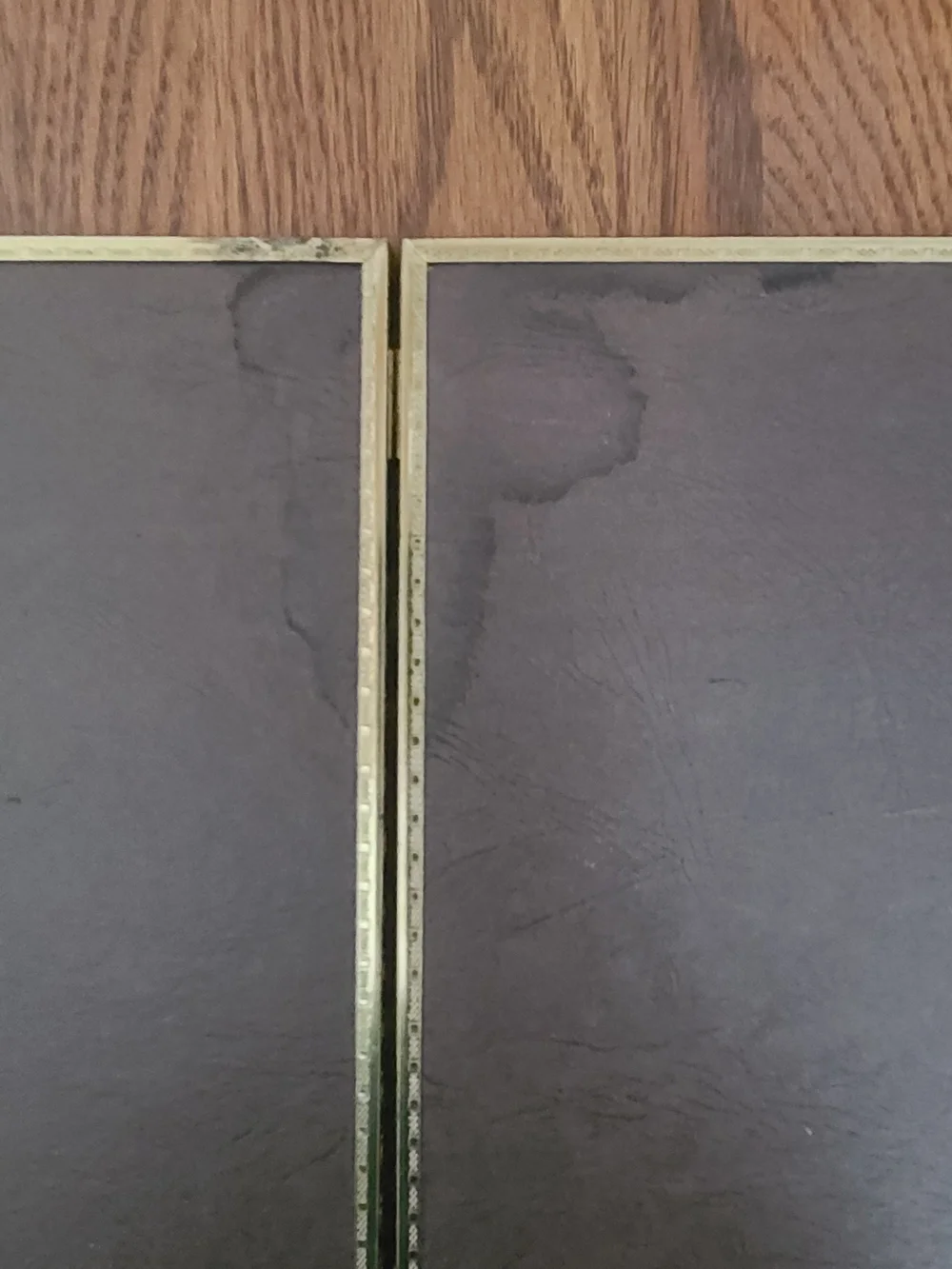 Metalcraft Vintage Hinged Picture Frame Duo